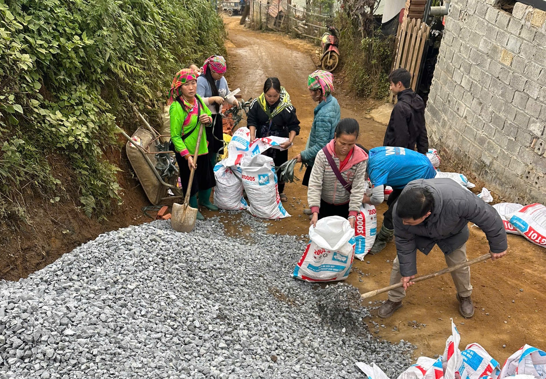 594768005 1390167973119264 7700616893064113875 n